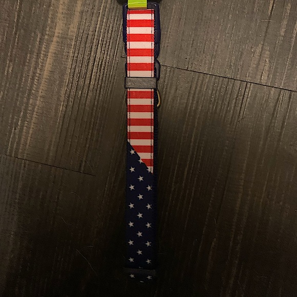 American flag dog collar